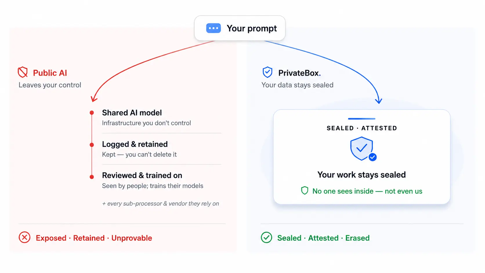 Private AI: Promise, or Proof